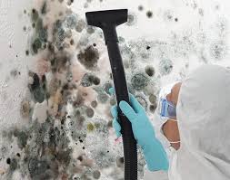 Mold Odor Removal Services in Franklin, OH